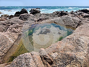 Rock pool on beach at low tide in Portugal, with ocean in background.