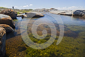 Rock pool near Bingi Bingi point. Bingie (near Morua). Aus