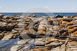 Rock pool near Bingi Bingi pount. Bingie (near Morua). Australia