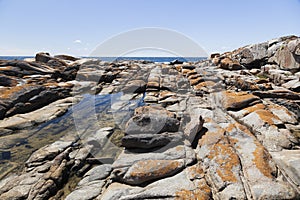 Rock pool near Bingi Bingi pount. NSW. Australia.