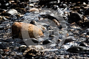 Rock pool. Rocks pebbles and stiones in a stream. Dark background image of natural geology.