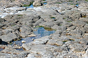 Rock pool in rocks by the sea at Porthcawl, Wales.