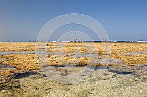 Rock pools on beach