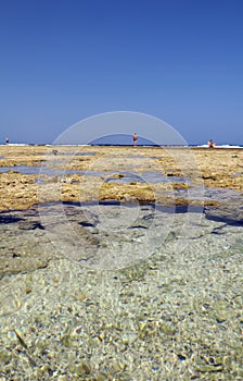 Rock pools on beach in summer