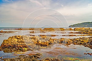 Rock pools by the Dorset Sea