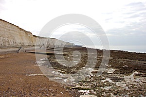 Rock pools at low tide close to Brighton Marina