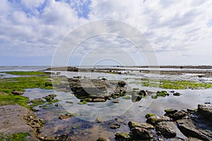 Rock pools in Robin Hoods Bay at low tide