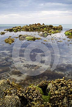 Rock pools with time-lapse water