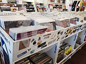 Rock and Pop Records Displayed on Shelves Music Store