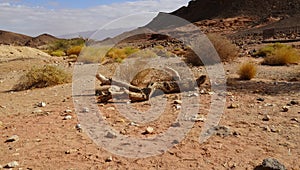 Rock and red terrain, in the national geological Timna park, Israel