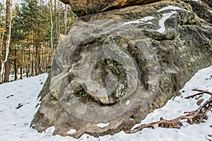 Rock relief formation called Snake,CZ Had. carved into sandstones.Monumental giant snake artwork in pine forest near Zelizy