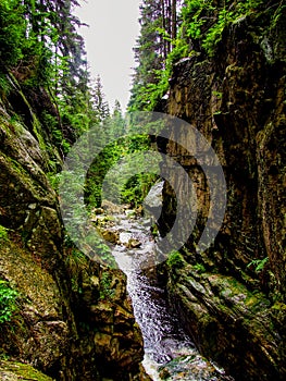 Rock revine near KamieÅ„czyk`s Waterfall located in Poland, in Sudetes mountains.