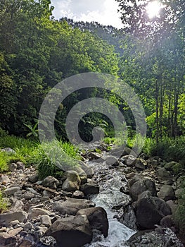 Rock in River at the Junggle