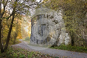 rock and road in an autumn forest