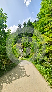 Rock\'s Valley Ravine photo