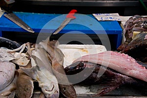 Rock salmons on fishmonger`s market stall photo