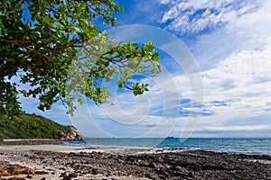The rock and sand beach koh larn pattaya