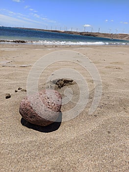 Rock on the sand at a beach on a sunny day