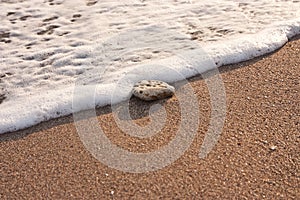 Rock on the sand, beach, water waves