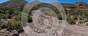 Rock Sand Wash in Desert Foothills