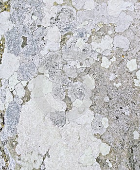 Rock sandstone texture