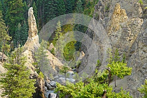 A Rock Sculpture Watches over Tower Creek