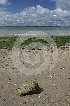 Rock on seaweedy beach overlooking Solent