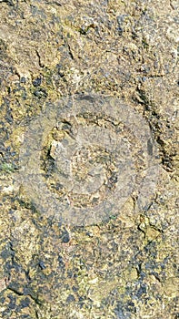 rock sedimented by rainwater to form a unique patterned surface