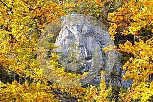 A rock in the shape of a male face in an autumn forest