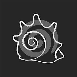 Rock shell chalk white icon on black background