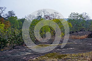 Rock shelters, Bhimbetka Madhya Pradesh