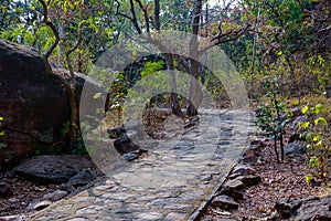 Rock shelters, Bhimbetka Madhya Pradesh