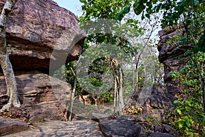 Rock shelters, Bhimbetka Madhya Pradesh