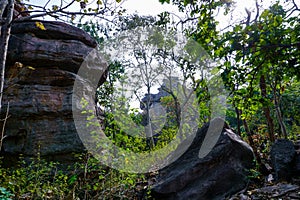 Rock shelters, Bhimbetka Madhya Pradesh