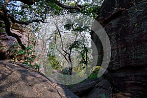 Rock shelters, Bhimbetka Madhya Pradesh