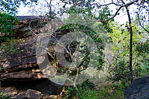 Rock shelters, Bhimbetka Madhya Pradesh