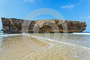 Rock on shore of Aruba