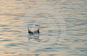 Rock skipping photo