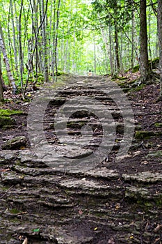 Rock steps on the Bruce trail