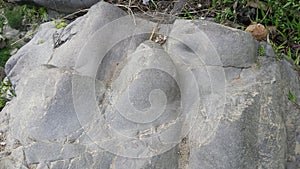 rock stone closeup, looks like waves, ballshaped