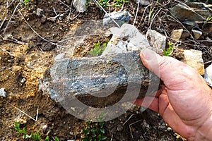 rock stone containing gold. A man's hand and stone