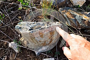 rock stone containing gold. A man's hand and stone