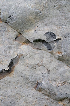 Rock and stone - detail and closeup of geomorphological texture, structure and material