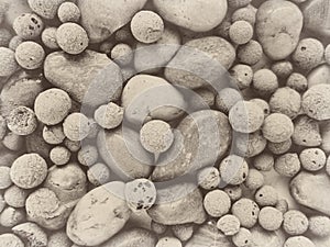 Rock stone pebble background backdrop