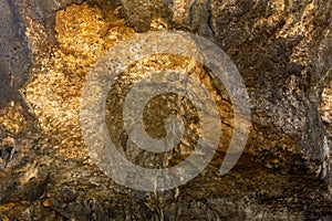 Rock, stone, textured. Background for design material