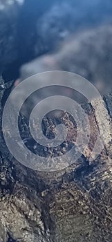 Rock stone wallbrick brick