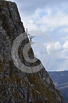 Rock stones on the mountain in spring season on summer day