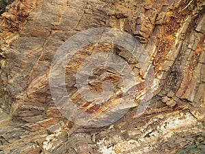 Rock strata detail, North Devon, England.