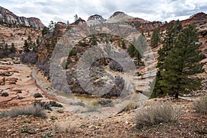 Rock stream loop in red rocks of Utah