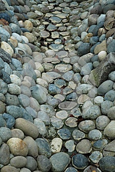 Rock streambed